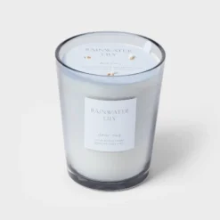 Colored Vase Glass With Dustcover Rainwater Lily Candle Gray - Threshold™ -Threshold Living Deals GUEST 1a738ead 7e7a 4f46 b4ff 79439b3488d0