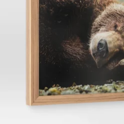 20" X 16" Bear Photography Framed Art Brown - Threshold™ -Threshold Living Deals GUEST 8d29808a 8d0a 4121 a8c8 64d15cc45658